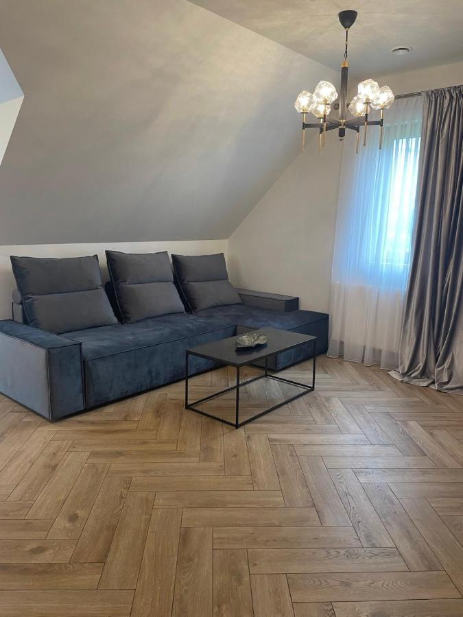 Mazoji Vila Birštonas Eksteriør billede